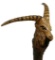 Carved Mountain Goat Figural Cane