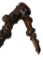 Wooden Raw Laquered Brach Style Cane
