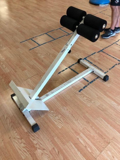 Curl Assist Platform (No Bench)