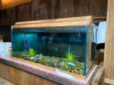 55 Gallon Fish Tank