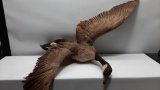 Taxidermy Canadian Goose