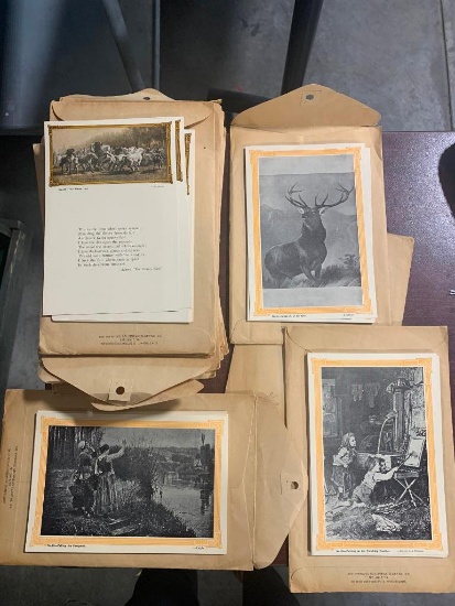 Several Envelopes of Photo Picture Cards, One Side Photo, Other Side Descriptions