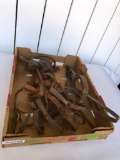 Large Selection of Old Iron Traps