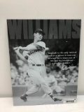 Young Ted Williams Boston Red Sox Metal Sign