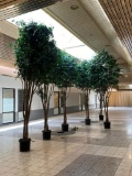 6 Large Artificial Trees