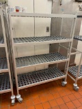 Fermod Fermostock Rolling Dunnage Shelving System, NSF, Aluminum & Polymer 71in x 48in x 22in