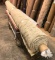 New Carpet Remnant Roll: 12ft x 12ft 4in Tan