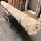 New Carpet Remnant Roll: 12ft x 11ft 9in Light Brown