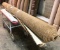 New Carpet Remnant Roll: 12ft x 17ft 9in Brown