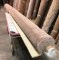 New Carpet Remnant Roll: 8ft 4in x 12ft Brown