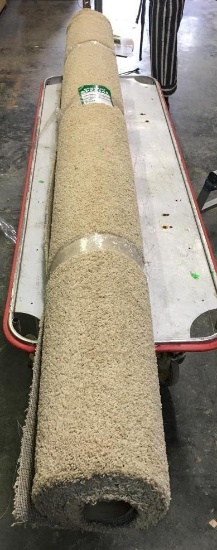 New Carpet Remnant Roll: 11ft 9in x 9ft - Tan