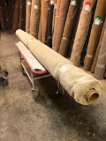 New Carpet Remnant Roll: 12ft x 11ft 9in Cream