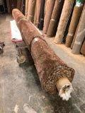 New Carpet Remnant Roll: 12ft x 12ft 8in Dark Brown