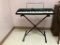 Kawai QX100 Electric Keyboard w/ Stand