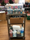 Large Assortment of Glazes, Cover Coats, UnderGlaze, Etc. 3 Shelves Worth