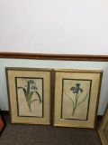 Lot of 4 Matching Floral Prints Framed Under Glass, Each Measures 30in x 22in