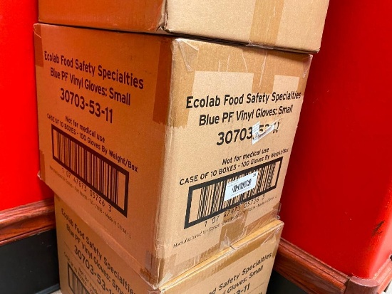 Full Case (1,000) Vinyl Gloves, Blue Powder Free, Size Small by Ecolab, 10 boxes of 100