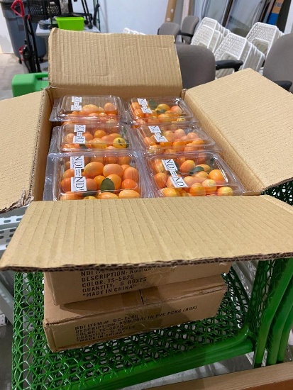 3 Cases of Kumquat in PVC Package, 18 Total Boxes