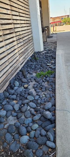 Landscaping Rocks, Front Entrance on 72nd St Side, Approx. 30 Feet x 3ft Bed of Rocks