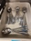 20 Stainless Steel Serving Spoons