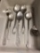 Stainless Steel Serving Spoons