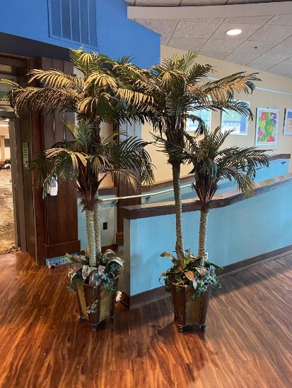 Two Artificial Palm Trees