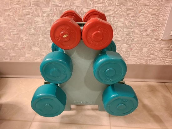 (6) Dumbbells and Holder 2.5lbs, 5 lbs, and 8 lbs.