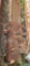 Early Cast Iron Building Column, Ornate, 157in x 6in x 8in