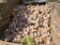 Bin of Reclaimed Brick, Large Selection