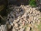 Bin of Reclaimed Stone, Various Sizes