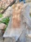 Reclaimed Wood Slab, Approx. 113in x 35in, Real Dense