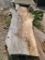 Reclaimed Wood Slab, Approx. 101in x 39in