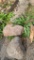 Landscaping Rocks and Curbstone, Approx. 64in, Rocks 32in and 22in