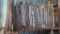 Section of Early Tin Ceiling Panels, 24in x 48in - 50+ Pieces Per Lot