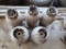 Five Industrial Stage Lights, One Money for All
