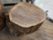 Two Kiln Dried Walnut Live Edge Slabs Approx. 20in