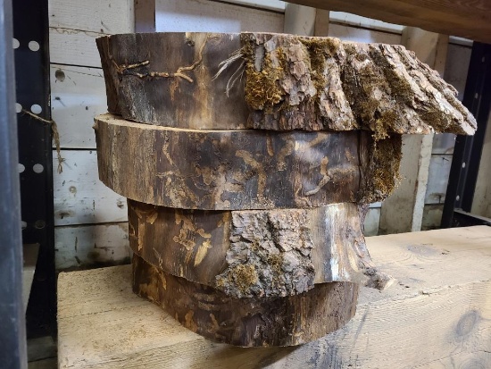 Four Kiln Dried Walnut Live Edge Slabs Approx. 14in