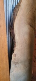 Live Edge Slab of Wood 37