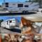 2009 Forest River Cherokee Grey Wolf Series Fifth Wheel Travel Trailer / Camper, 2-Slides