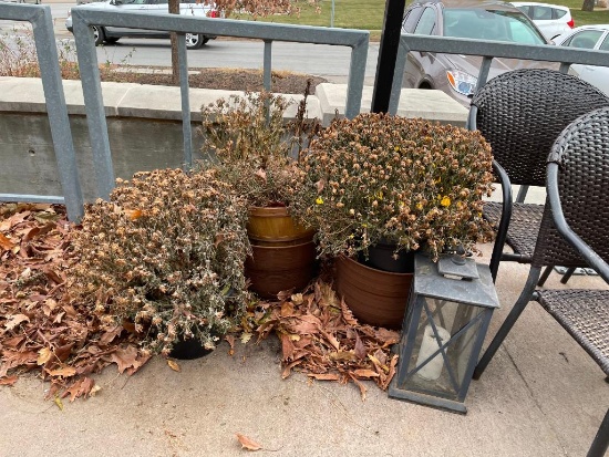 Plastic Flower Pots