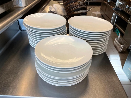 22 10in Plates, FOH Brand