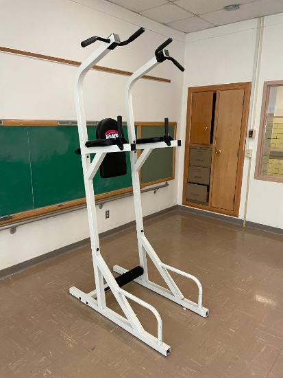 Body By Jake Dip & Pull Up Station
