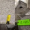 65 Ft Long x 12 Ft Wide Roll of New Carpet, See Photos for Thickness and Color