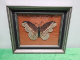 Mounted / Framed Butterfly w/ Poem The Butterfly Signed by Norman A. Peirce, Red Cloud, Nebr. C.