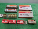 .22 LR Ammunition / Ammo