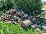 Pile of Firewood