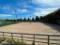 Sand from Sand Volleyball Court, 2 Nets & Poles, Rope Lines - BUYER TO REMOVE BY OCT 1st