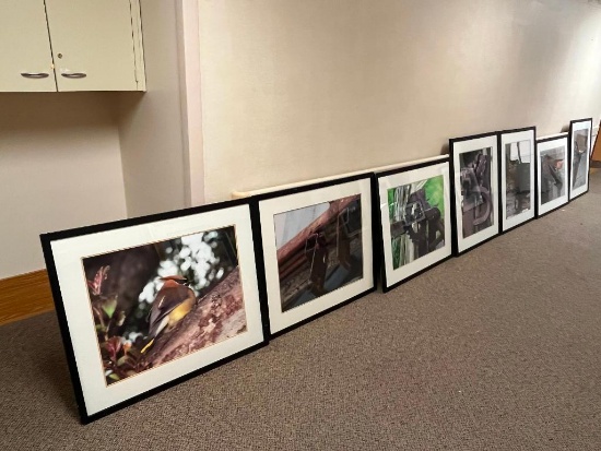 Framed Art