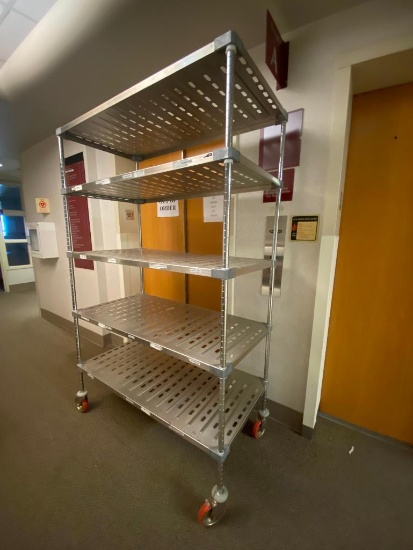 Mobile Stainless Steel Dunnage Shelving Rack, NSF, 5 Shelves, 48in w, 74in h