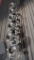 Wall Mount Light Bar w/ 6-Bulb Stage SpotLight Fixtures